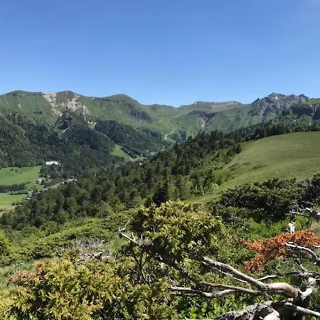 Mont-dore, 2 Pièces, 4 Personnes - Fr-1-608-216 Appartamento